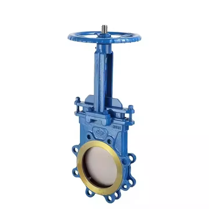 DN100 Válvula de ferro fundido duplo flangeado