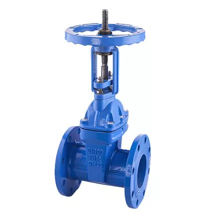 DN200 DUCTILE IRILIGENTE SAPED GATE